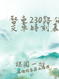 启东230路公交车时刻表