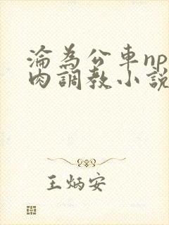 沦为公车np纯肉调教小说推荐