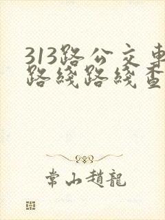 313路公交车路线路线查询