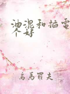 油混和插电混哪个好