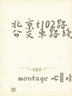 北京t102路公交车路线时间表
