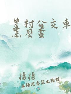 农村公交车时间怎么查