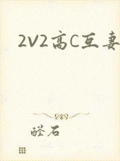 2V2高C互妻