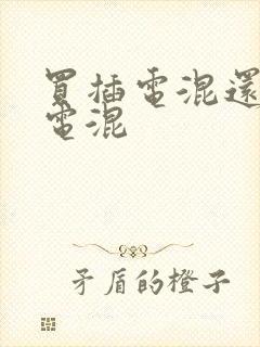 买插电混还是油电混