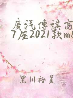 广汽传祺商务车7座2021款m8
