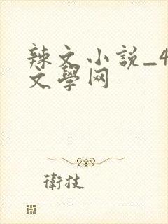 辣文小说_48文学网