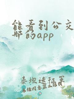 能看到公交车到哪的app