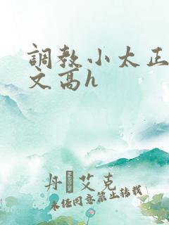 调教小太正肉车文高h