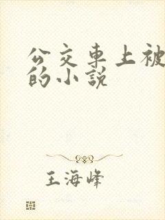 公交车上被玩弄的小说
