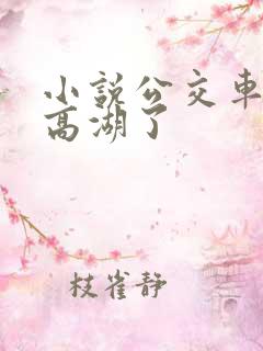 小说公交车被上高湖了