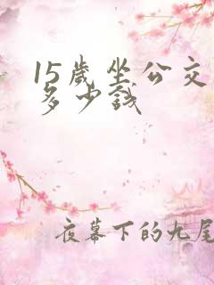 15岁坐公交车多少钱