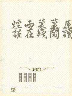 烟雨蒙蒙原著小说在线阅读