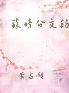 苏晴公交的小说