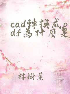 cad转换成pdf为什么是空白的