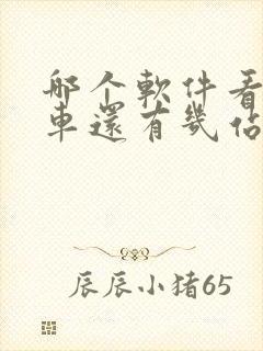哪个软件看公交车还有几站到