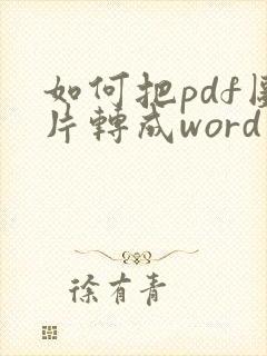 如何把pdf图片转成word可编辑版