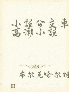 小说公交车被上高潮小说
