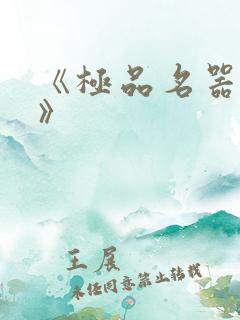 《极品名器系统》
