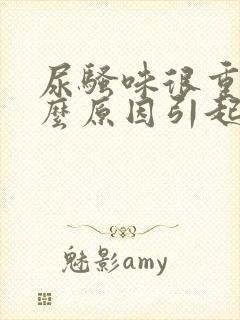 尿骚味很重是什么原因引起的