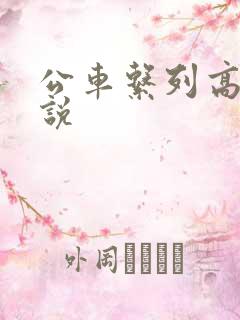 公车系列高h小说