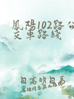 凤阳102路公交车路线