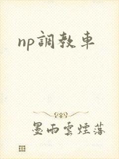 np调教车