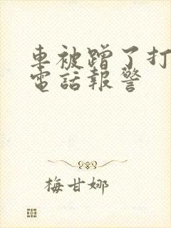 车被蹭了打什么电话报警