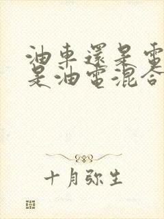 油车还是电车还是油电混合
