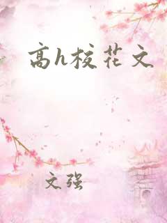 高h校花文