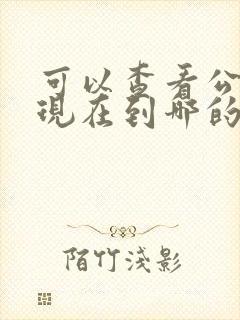 可以查看公交车现在到哪的软件