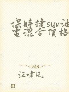 保时捷suv油电混合价格