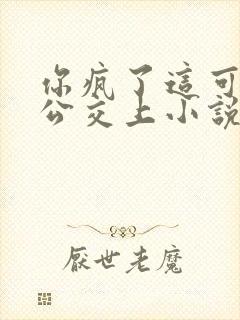 你疯了这可是在公交上小说全文免费阅读