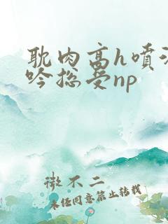 耽肉高h喷汁呻吟总受np