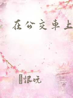在公交车上的事