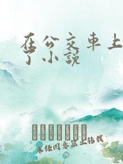 在公交车上高潮了小说