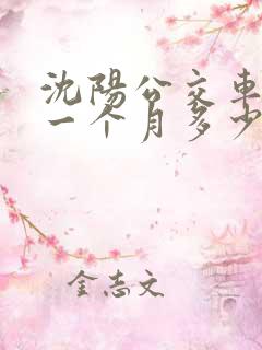 沈阳公交车司机一个月多少钱工资