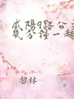 咸阳9路公交车几分钟一趟