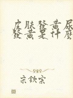 皮肤发黄尿液也发黄是什么原因引起的