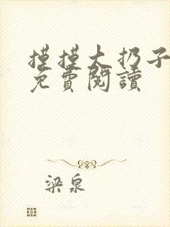 摸摸大扔子小说免费阅读