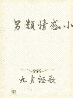 另类情感小说