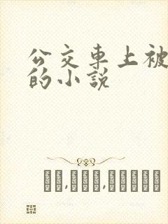 公交车上被玩弄的小说