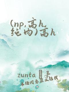 (np,高h,纯肉)高h