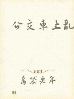 公交车上乱轮