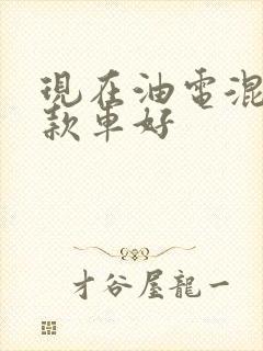 现在油电混动哪款车好