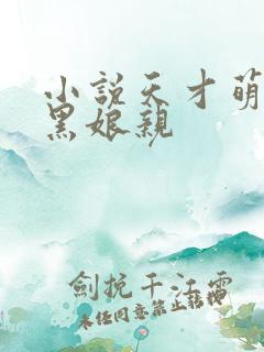 小说天才萌宝腹黑娘亲