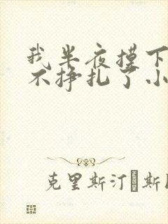 我半夜摸下面她不挣扎了小说