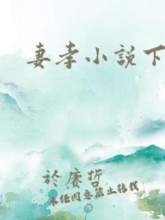 妻孝小说下载