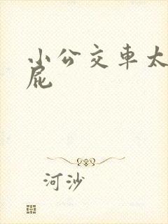 小公交车太友放屁