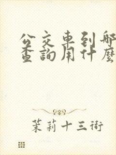 公交车到哪儿了查询用什么软件