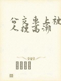 公交车上被陌生人摸高潮